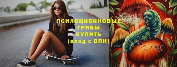соль ск Алзамай