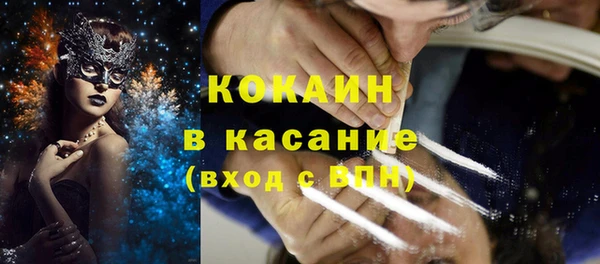 соль ск Алзамай